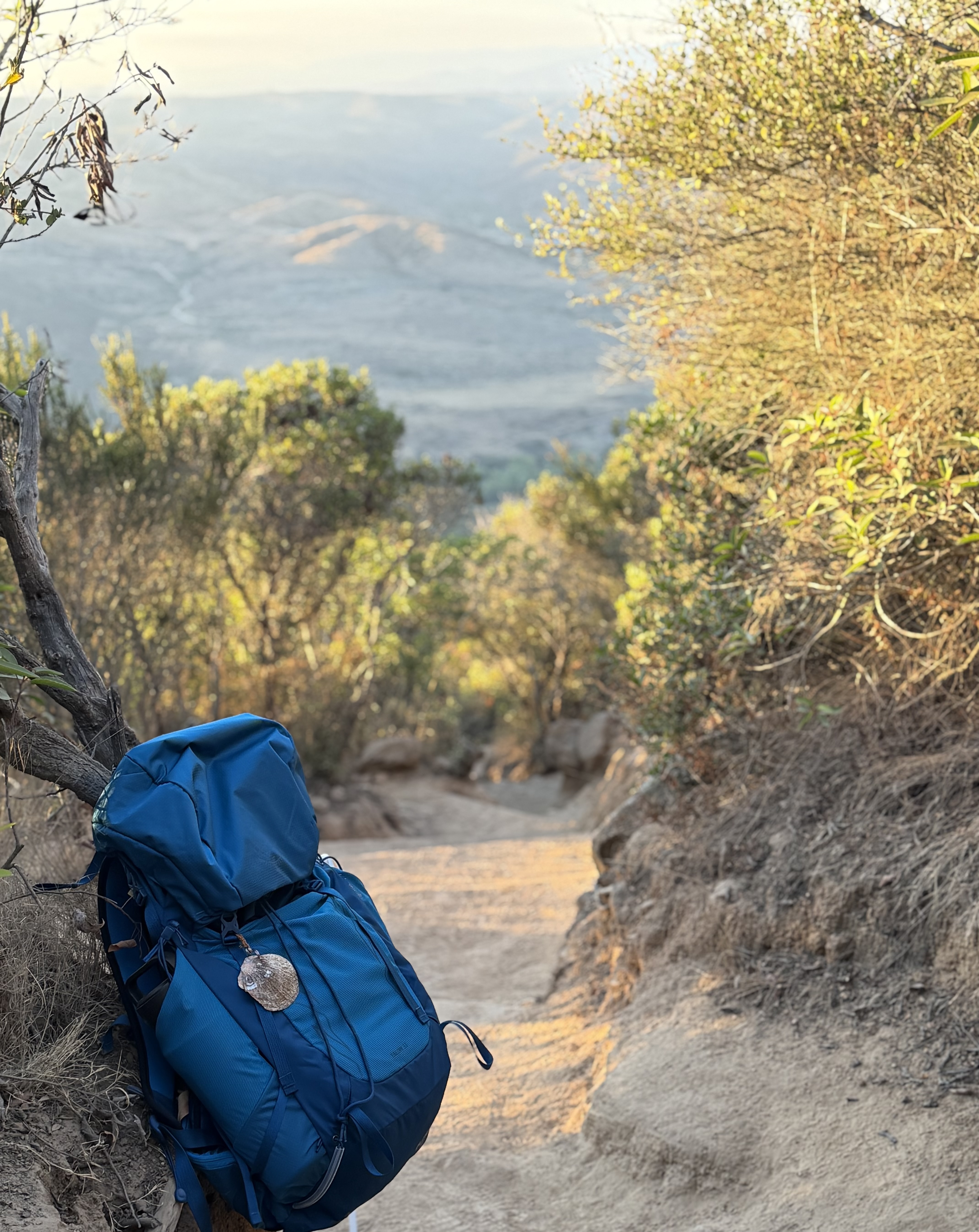 Blue backpack with a scallop shell resting beside a hiking trail